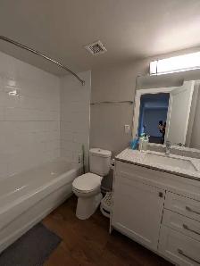 Downtown 1 Bed 1 Bath Apartment - Photo 6