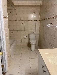 2 Bedroom Basement Apartment for Rent Markham and Steeles - Photo 8