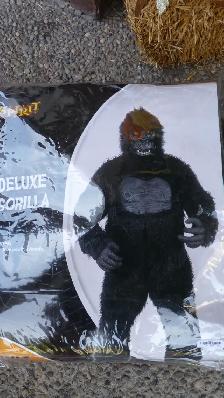 Halloween Costumes Adult Sizes - Photo 2