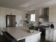 Upgrade Kitchen & Bathroom with Custom Cabinets & Countertop - Photo 9