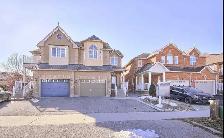 Beautiful 1 Br Basement in Oakridges,Richmond Hill for rent!