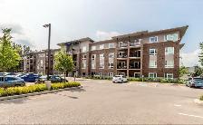 Stratford Apartment for Rent Sublet 2 Bedroom 1 Bath October 1