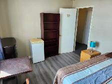 pet friendly-bachelor suite-All Utilities are included - Photo 5