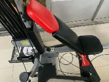 BowFleX BlaZe  with 310 Pounds gym weights exercise - Photo 2