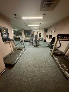 1 Bedroom  Apartment | All Utilities Included   UG Parking 1 OCT - Photo 3