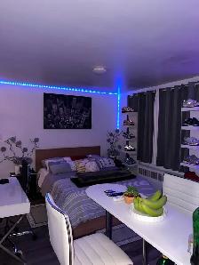 Fully Furnished Apartment Studio for RENT/Sublease - Photo 3