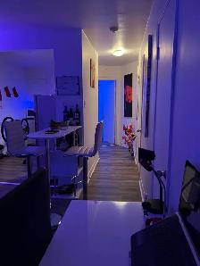 Fully Furnished Apartment Studio for RENT/Sublease - Photo 4