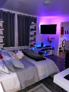 Fully Furnished Apartment Studio for RENT/Sublease - Photo 5