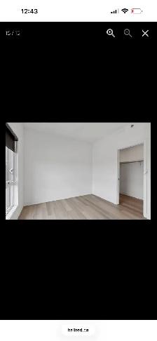 appartement à louer 1 novembre - Photo 2