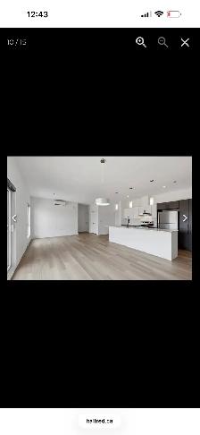appartement à louer 1 novembre - Photo 7