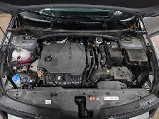 2024 Kia Sportage - Photo 7