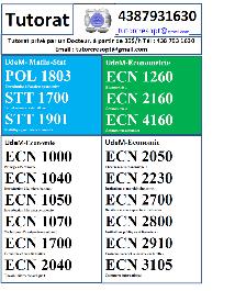 Tutorat privé Economie Finance Stat à partir de 35$ l'heure. - Photo 3