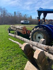 Well-Seasoned Fire Wood - only 12 cords remaining - Photo 2