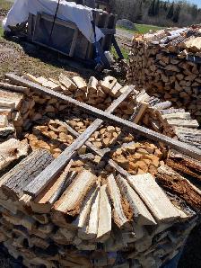 Well-Seasoned Fire Wood - only 12 cords remaining - Photo 3