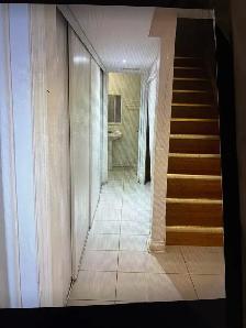 walkout basement 1 sunny bedroom for rent - Photo 8