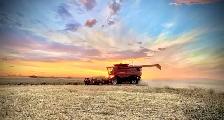 Combine/ Cart Operator