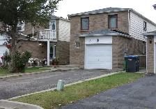 1 Bedroom Basement