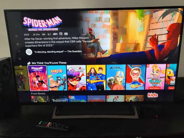 Sony 4K Smart TV 49'Inch $299 Mint Condition
