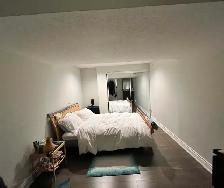 Spacious 1 Bedroom Basement Apartment in Erin Mills - Photo 4