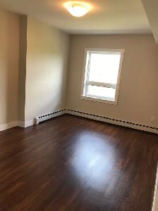 Two Bedroom   Den - Two Bathroom - Available November 1st - Photo 6