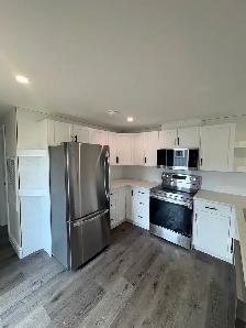Completely Renovated Mobile Home in Thorndale For Sale! - Photo 5