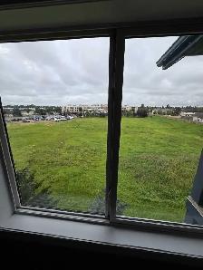 2 Bedroom Apartment - Photo 4