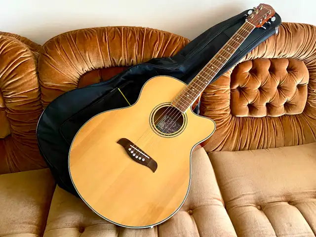 Oscar Schmidt Acoustic Electric Guitar w/ Case