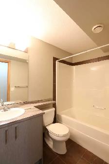Two Bedroom Lower Suite in Broders Annex Now Available - Photo 5