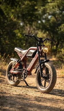 Taubik Recon! - Photo 2