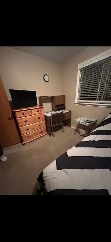 Large room for rent - Photo 3