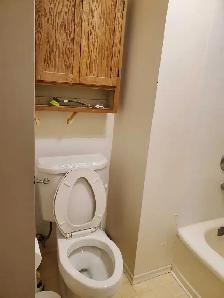 Room for Rent near University of Alberta - Photo 8