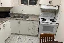 1 Bedroom Basement - Photo 6
