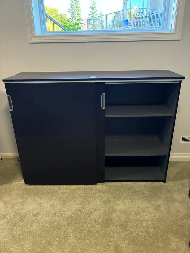Large Cabinet/Bookcase