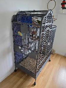 youyou du Sénégal  avec sa grande cage - Photo 6