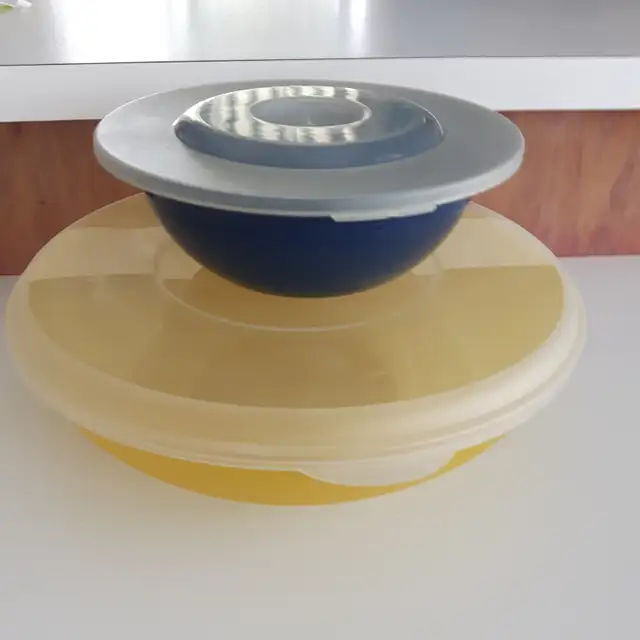 2 GRAND PLATNEUF PAKERWARE JAUNE BLANC DE 11'DIAMÈTRE: $5.00CHA
