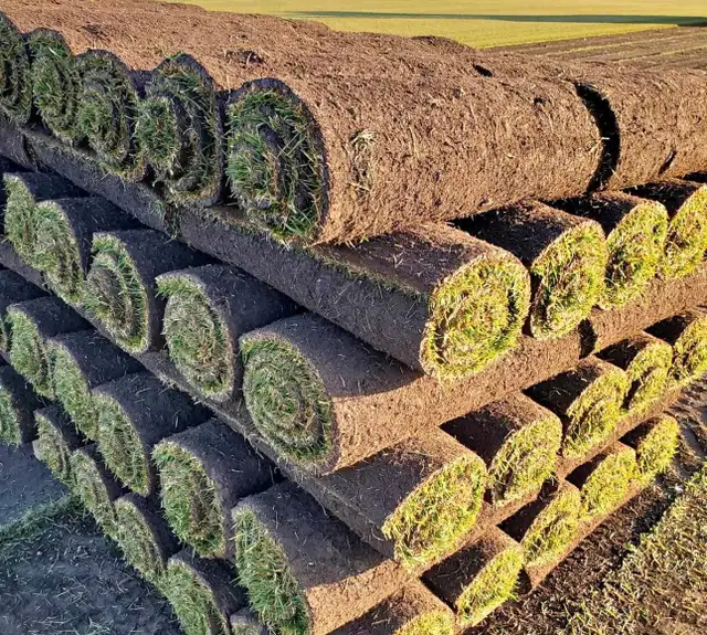 Free Sod - First come first serve