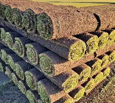 Free Sod - First come first serve