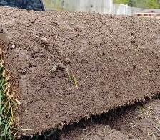 Free Sod - First come first serve - Photo 2