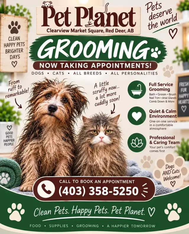 GROOMING APPOINTMENTS NOW AVAILABLE! ✂️
