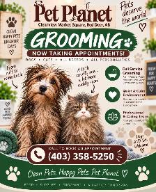 GROOMING APPOINTMENTS NOW AVAILABLE! ✂️