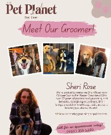 GROOMING APPOINTMENTS NOW AVAILABLE! ✂️ - Photo 2