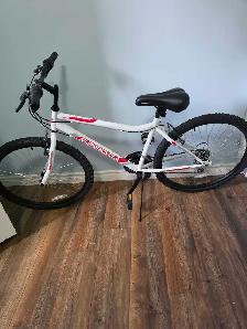 SUPERCYCLE BICYCLE FOR SALE-$100