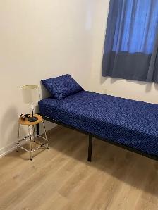 Room for rent in a shared house