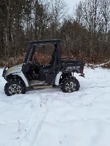 2008 Artic Cat Prowler 700 UTV - Photo 2