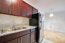 Huge 1 bdrm renovated apartment for rent - East York - Photo 3