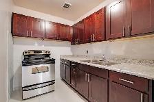 Huge 1 bdrm renovated apartment for rent - East York - Photo 4