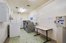 Huge 1 bdrm renovated apartment for rent - East York - Photo 11