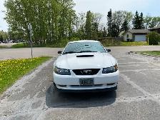 2004 Mustang Gt 40th Anniversary Edition - Photo 2