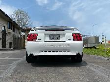 2004 Mustang Gt 40th Anniversary Edition - Photo 3