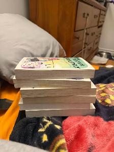 Lot de livres Marianne Bellehumeur et cartes de hockey